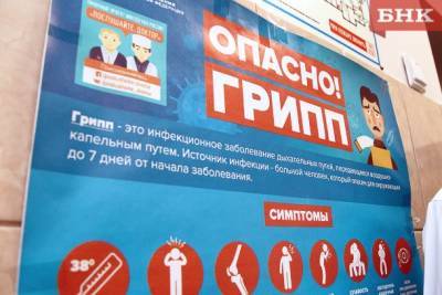 Виктор Бобыря - Как и чем будут прививать жителей Коми от гриппа - bnkomi.ru - респ. Коми