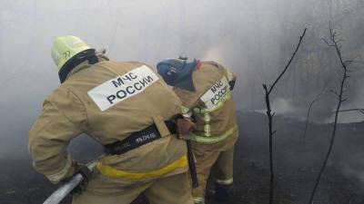 В Башкирии ликвидирован последний очаг природных пожаров - bash.news - Башкирия - район Баймакский
