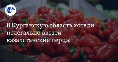В Курганскую область хотели нелегально ввезти казахстанские перцы - ura.news - Россия - Казахстан - Тюменская обл. - Курганская обл.