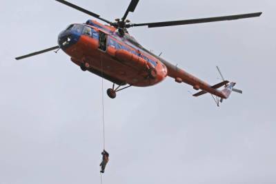 После лесных пожаров в Тюменской области власти выделяют миллионы на пожарные вертолеты - nakanune.ru - Тюменская обл.