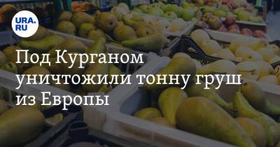 Под Курганом уничтожили тонну груш из Европы. Фото - ura.news - Россия - Челябинская обл. - Курганская обл.