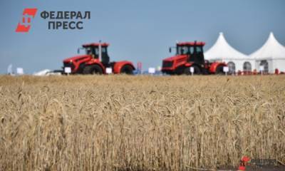 На Южном Урале массово погибли пчелы после обработки полей - fedpress.ru - Челябинская обл. - Курганская обл.