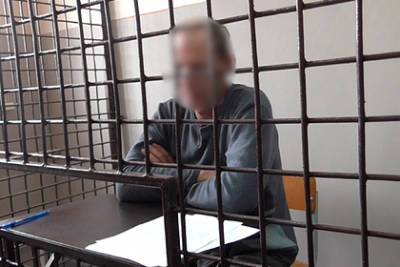 Виктор Пестерников - Обвиняемого в убийстве школьниц в Киселевске арестовали на два месяца - lenta.ru - Россия - Киселевск - Кемеров