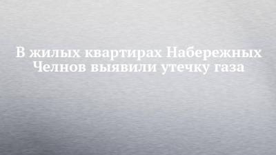 В жилых квартирах Набережных Челнов выявили утечку газа - chelny-izvest.ru - Московская обл. - Набережные Челны - Ногинск