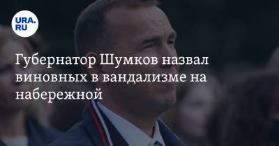 Вадим Шумков - Губернатор Шумков назвал виновных в вандализме на набережной - ura.news - Курганская обл. - Шадринск
