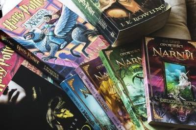Стивен Кинг - Гарри Поттер - «Авито» назвал «Гарри Поттер» самой популярной книгой у рязанцев - rzn.mk.ru - Рязань