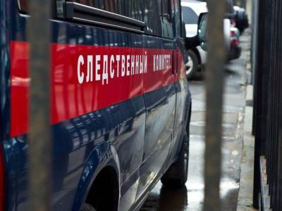 Следователи рассказали подробности убийства детей в Киселевске - rosbalt.ru - Россия - Киселевск - Кемеровская обл.