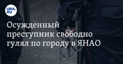 Осужденный преступник свободно гулял по городу в ЯНАО - ura.news - Россия - Ноябрьск - окр. Янао
