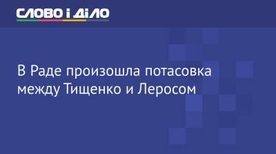 Михаил Подоляк - Николай Тищенко - Гео Лерос - В Раде произошла потасовка между Тищенко и Леросом - ru.slovoidilo.ua - США - Украина - Белоруссия