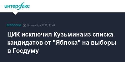ЦИК исключил Кузьмина из списка кандидатов от "Яблока" на выборы в Госдуму - interfax.ru - Москва - Россия