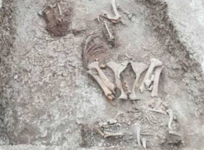 король Артур - Археологи раскопали 40 скелетов людей, стоящих за «происхождением Англии» - lenta.ua - Украина - Англия