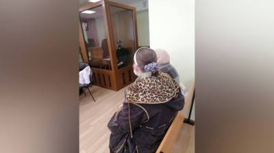 Для сбившего насмерть младенца в коляске воронежца прокурор потребовал 7 лет - vestivrn.ru - Воронеж