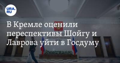 Сергей Шойгу - Владимир Путин - Дмитрий Песков - Сергей Лавров - Анна Кузнецова - Елен Шмелев - Денис Проценко - В Кремле оценили перспективы Шойгу и Лаврова уйти в Госдуму - ura.news - Россия