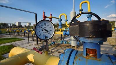 Виктор Водолацкий - В ГД раскритиковали попытки Киева включить тему газа в нормандский саммит - iz.ru - США - Украина - Киев - Израиль