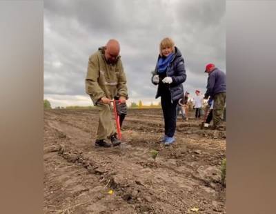 Сергей Цивилев - Губернатор Кузбасса высадил лес в Чебулинском округе - gazeta.a42.ru