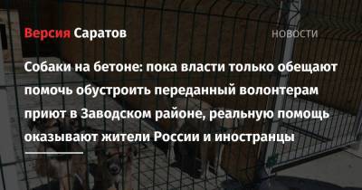 Собаки на бетоне: пока власти только обещают помочь обустроить переданный волонтерам приют в Заводском районе, реальную помощь оказывают жители России и иностранцы - nversia.ru - Россия - Саратов - район Заводский, Саратов