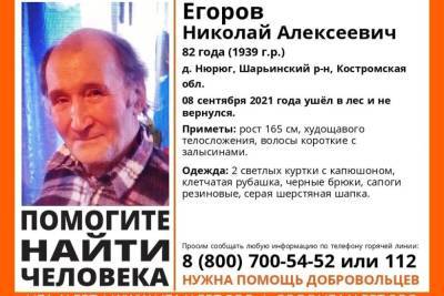 Костромские спасатели ищут в Шарьинском районе 82-летнего грибника - kostroma.mk.ru