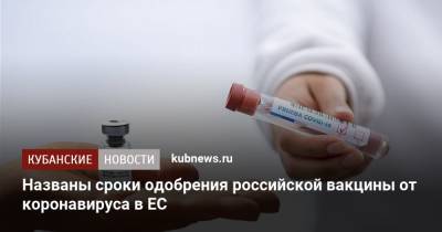 Марко Кавалери - Названы сроки одобрения российской вакцины от коронавируса в ЕС - kubnews.ru - Франция - Амстердам - Европа