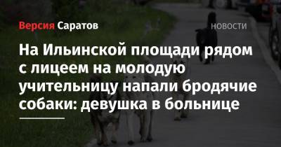 На Ильинской площади рядом с лицеем на молодую учительницу напали бродячие собаки: девушка в больнице - nversia.ru - Саратовская обл.