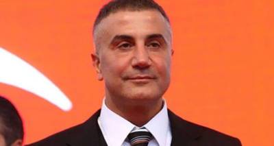Скандальный турецкий мафиози заявил о намерении посетить Армению - ru.armeniasputnik.am - Сирия - Армения - Турция - Кипр - Греция