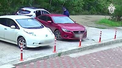 В Иркутске брата и сестру заподозрили в поджоге машины с ребенком - iz.ru - Россия - Израиль - Иркутск
