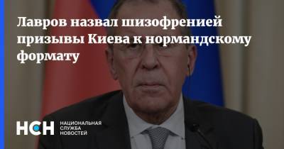Сергей Лавров - Лавров назвал шизофренией призывы Киева к нормандскому формату - nsn.fm - Россия - Украина - Киев - Германия - Франция