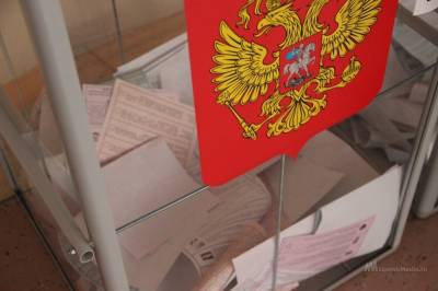 Максим Григорьев - Почему перед выборами всегда появляются «плакальщицы», и стоит ли им верить - lipetskmedia.ru - Россия - Липецкая обл.