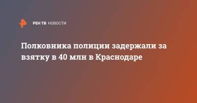 Полковника полиции задержали за взятку в 40 млн в Краснодаре - ren.tv - Россия - Краснодар