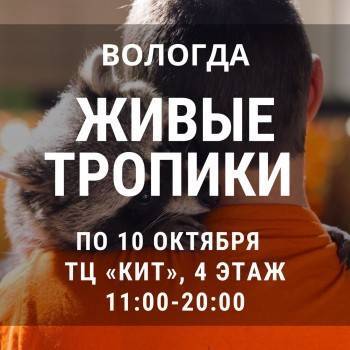 Экзотеррариум «Живые Тропики» открылся в Вологде - vologda-poisk.ru - Вологда
