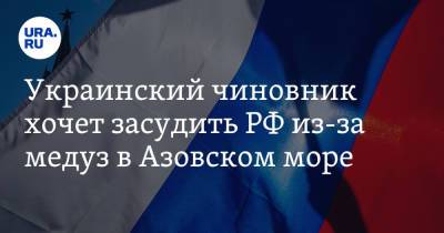 Александр Старух - Украинский - Украинский чиновник хочет засудить РФ из-за медуз в Азовском море - ura.news - Россия - Украина - Крым - Запорожская обл.
