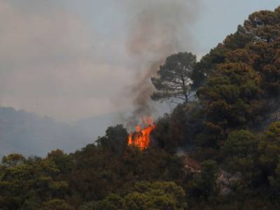 El Pais - На юге Испании горят леса: эвакуировали более 400 человек - unn.com.ua - Украина - Киев - Испания
