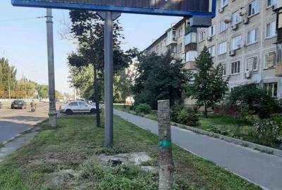 Сергей Притулы - В Киеве ради рекламных билбордов спилили верхушки деревьев (фото) - sharij.net - Киев