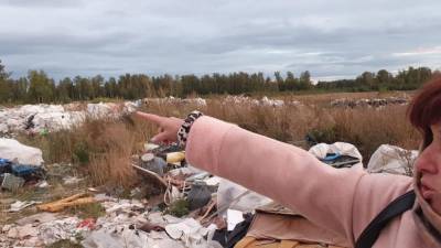 Под Челябинском на участке местного депутата нашли подозрительную свалку - newdaynews.ru - Челябинск - район Сосновский - Экология