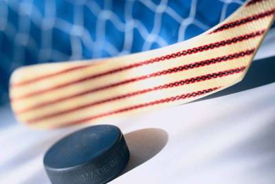 Бывший хоккеист завещал свой мозг для научных исследований - sport.ru - Бостон - шт. Миннесота