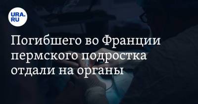 Во Франции - Погибшего во Франции пермского подростка отдали на органы - ura.news - Россия - Франция