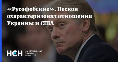 Владимир Зеленский - Дмитрий Песков - «Русофобские». Песков охарактеризовал отношения Украины и США - nsn.fm - Россия - США - Украина - Киев