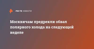 Евгений Тишковец - Москвичам предрекли обвал полярного холода на следующей неделе - ren.tv - Москва