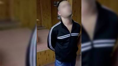 Арестованного в Воронеже отчима-истязателя будут судить за стрельбу у школы - vestivrn.ru - Воронеж - Казань