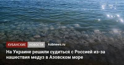 Александр Старух - На Украине решили судиться с Россией из-за нашествия медуз в Азовском море - kubnews.ru - Россия - Украина - Краснодарский край - Запорожская обл. - Азовское Море
