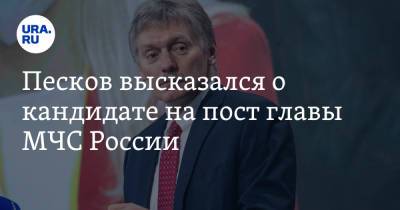 Дмитрий Песков - Евгений Зиничев - Алексей Дюмин - Александр Мельник - Песков высказался о кандидате на пост главы МЧС России - ura.news - Россия - Красноярский край - Тульская обл.