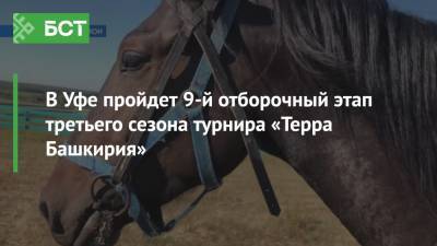 В Уфе пройдет 9-й отборочный этап третьего сезона турнира «Терра Башкирия» - bash.news - Башкирия - Уфа