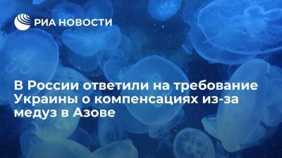 Алексей Пушков - Артем Туров - В России ответили на требование Украины о компенсациях из-за медуз в Азове - ria.ru - Москва - Россия - Украина - Киев - Италия - Запорожская обл. - Рим