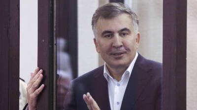 Михаил Саакашвили - Ника Мелия - Оппозиционеры в Грузии прекратили голодовку по просьбе Саакашвили - mir24.tv - Грузия - Гори