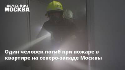 Один человек погиб при пожаре в квартире на северо-западе Москвы - vm.ru - Москва - Москва - На