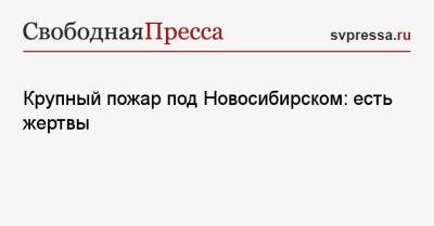 Крупный пожар под Новосибирском: есть жертвы - svpressa.ru - США - Новосибирск - Югра - Новосибирская обл. - Кострома