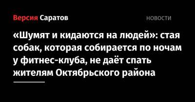 «Шумят и кидаются на людей»: стая собак, которая собирается по ночам у фитнес-клуба, не даёт спать жителям Октябрьского района - nversia.ru - район Октябрьский