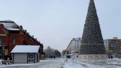Домик Деда Мороза в Пензе будет работать до 14 января - penzainform.ru - Пенза - Площадь