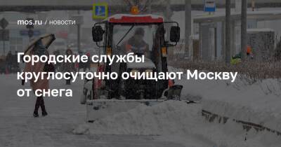 Городские службы круглосуточно очищают Москву от снега - mos.ru - Москва