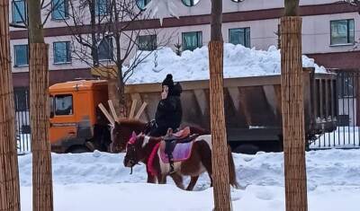 Тюменцы жалуются на хамство коневодов и выгул лошадей у элитных комплексов - nashgorod.ru - Тюмень