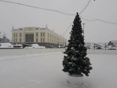 Немузей мусора в Екатеринбурге объявил прием новогодних елок на переработку - nakanune.ru - Екатеринбург